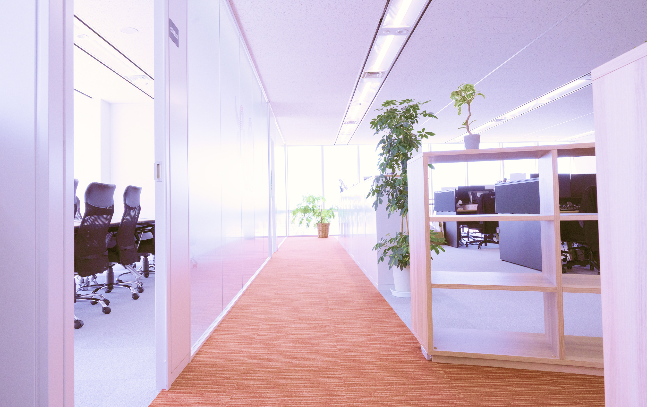 メインビジュアル2